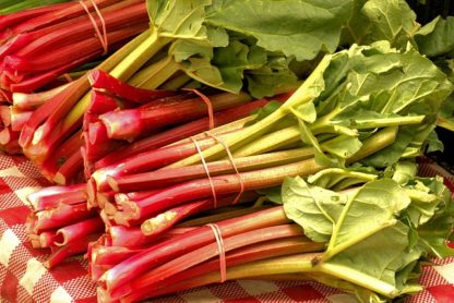 market-fresh-rhubarb-3503166_640