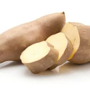 Sød Kartoffel ‘Chestnut’ Ipomoea Batatas