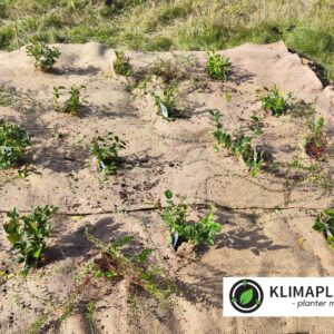 Bionedbrydelig Ukrudtsdug af Jute – 100% Økologisk og Organisk (800g/m²)