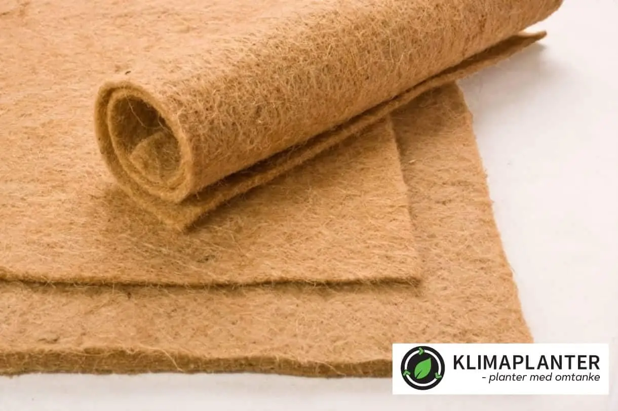 1000005671.jpg 1000005671.jpg