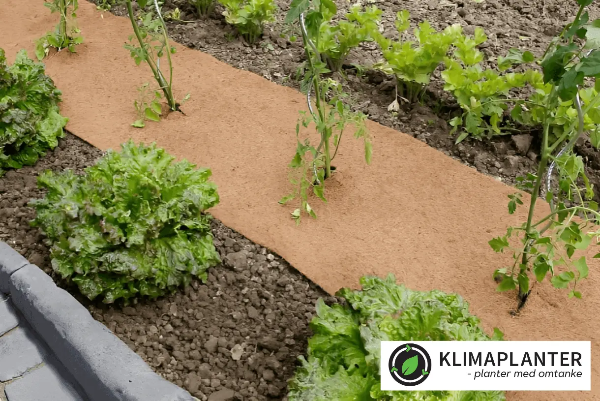 1000005672.png 1000005672.png