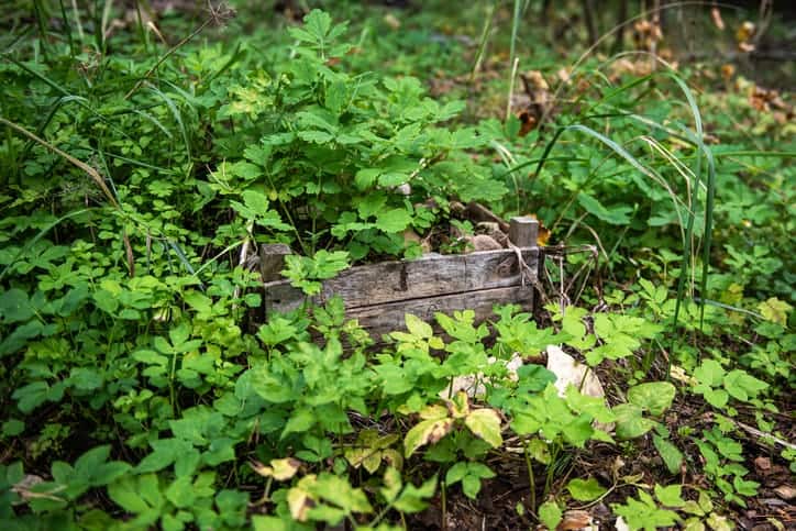 Bundække i skovhaven